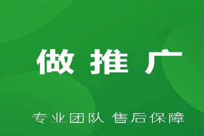 某电商平台的SEM策略与效果展示
